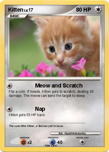 Pokemon Kitten