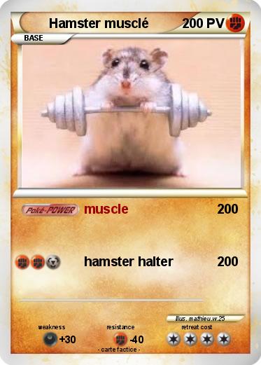 Pokemon Hamster musclé
