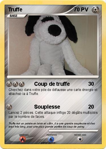 Pokemon Truffe