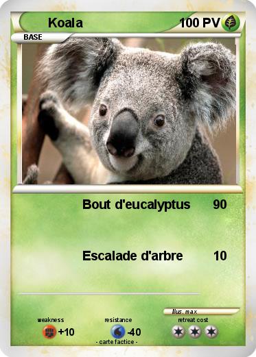 Pokemon Koala