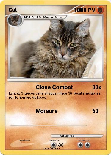 Pokemon Cat                                     100