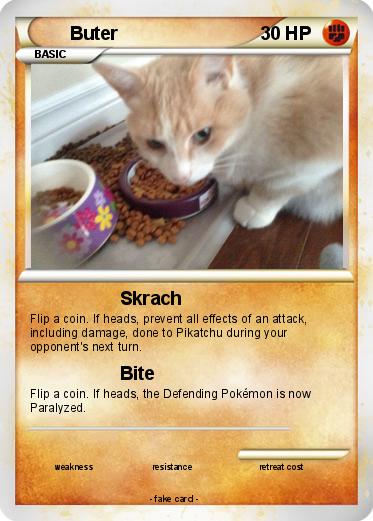 Pokemon Buter