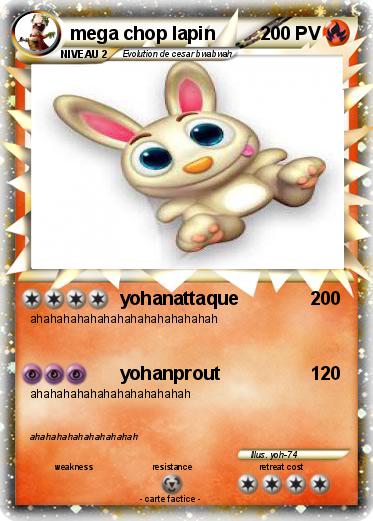 Pokemon mega chop lapin