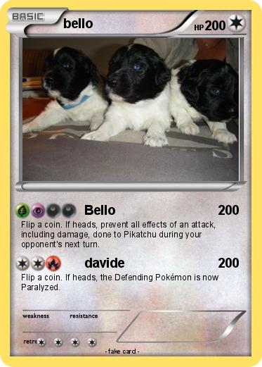 Pokemon bello