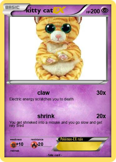 Pokemon kitty cat