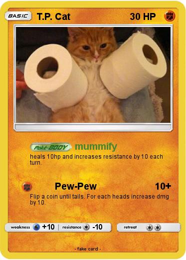 Pokemon T.P. Cat