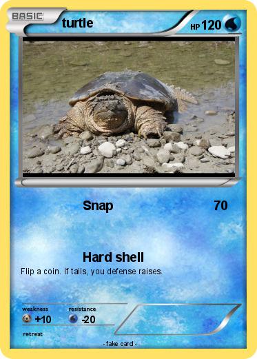 Pokemon turtle