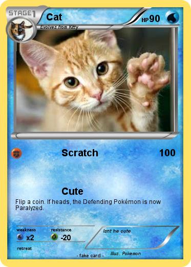 Pokemon Cat