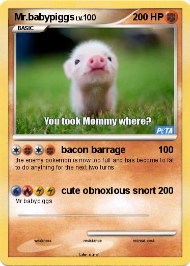 Pokemon Mr.babypiggs