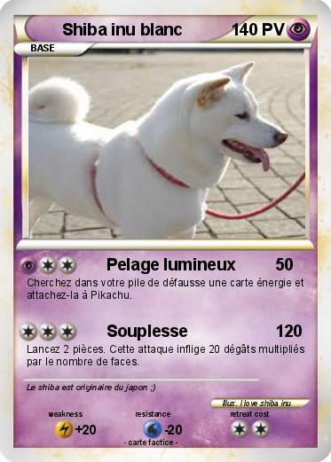 Pokemon Shiba inu blanc