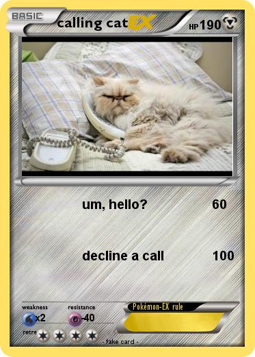 Pokemon calling cat