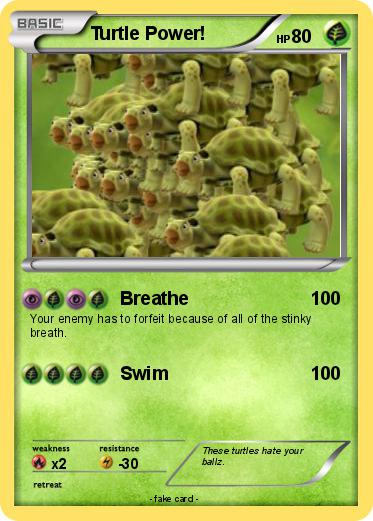Pokemon Turtle Power!