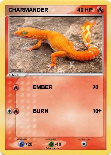 Pokemon CHARMANDER