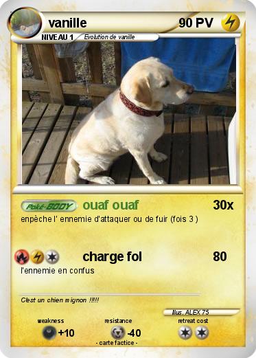 Pokemon vanille