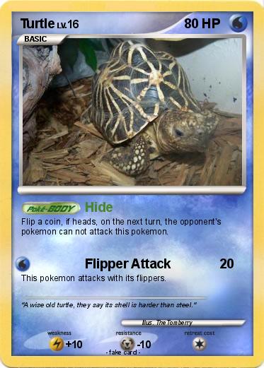 Pokemon Turtle