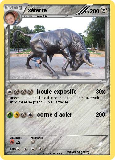 Pokemon xéterre