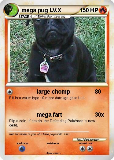 Pokemon mega pug LV.X