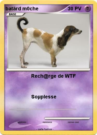 Pokemon batârd m0che