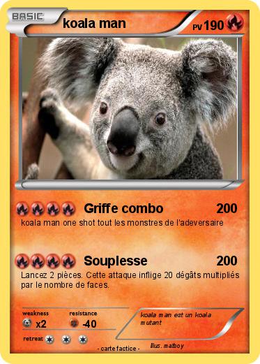 Pokemon koala man