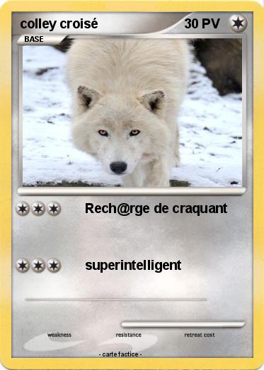 Pokemon colley croisé