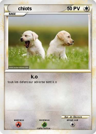 Pokemon chiots