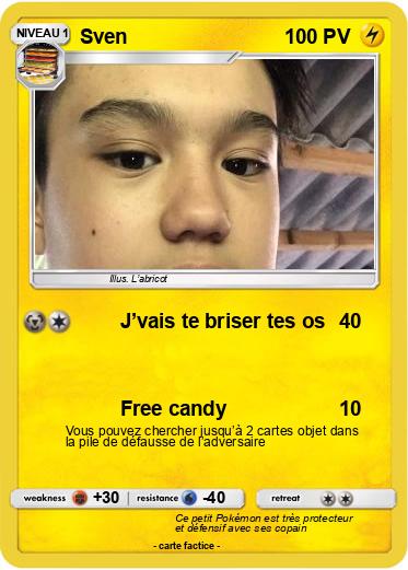 Pokemon Sven