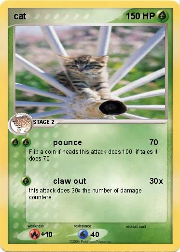 Pokemon cat