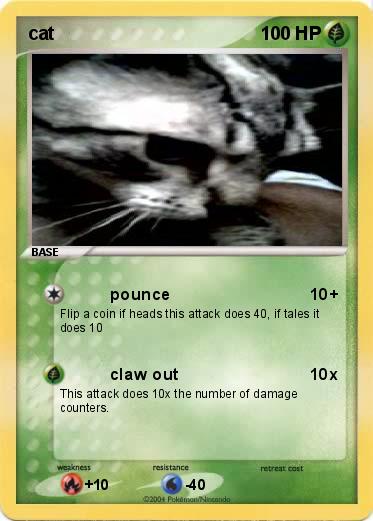 Pokemon cat