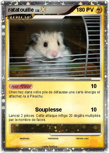 Pokemon ratatouille