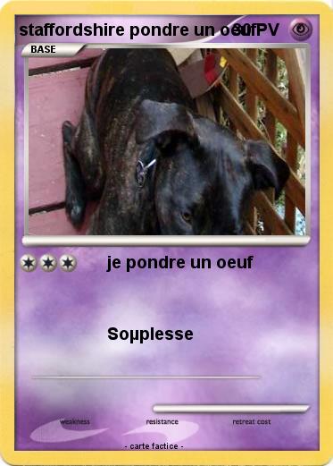 Pokemon staffordshire pondre un oeuf