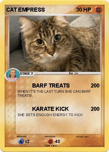 Pokemon CAT EMPRESS