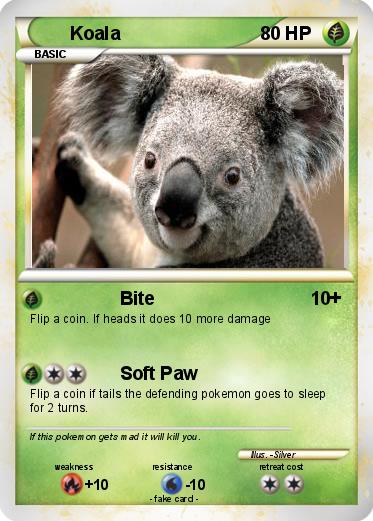 Pokemon Koala