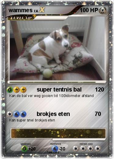 Pokemon wammes