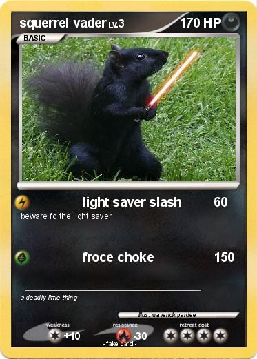 Pokemon squerrel vader
