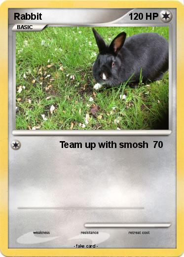 Pokemon Rabbit