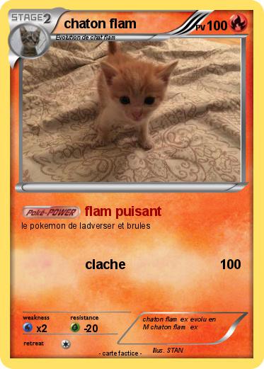 Pokemon chaton flam