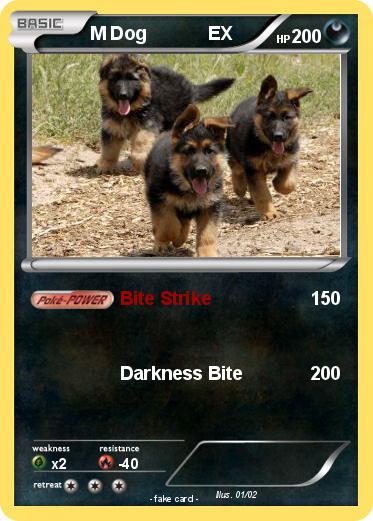 Pokemon M Dog            EX
