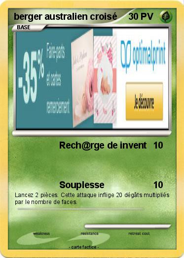 Pokemon berger australien croisé