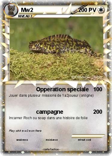 Pokemon Mw2