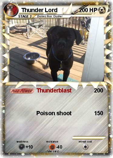 Pokemon Thunder Lord