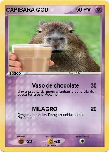 Pokemon CAPIBARA GOD