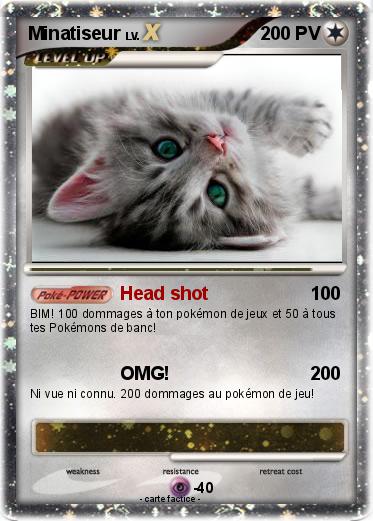 Pokemon Minatiseur