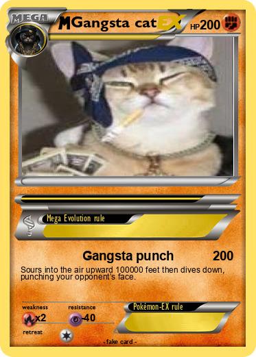 Pokemon Gangsta cat