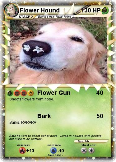 Pokemon Flower Hound