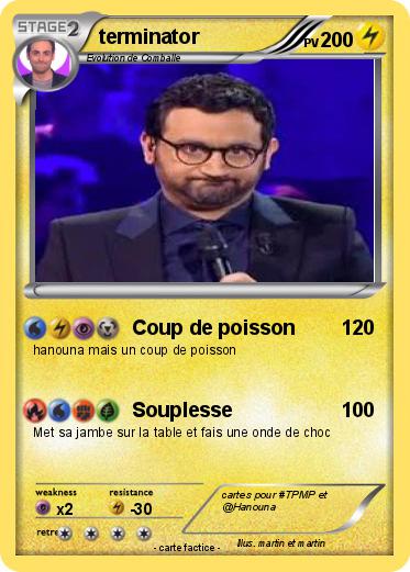 Pokemon terminator