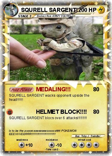 Pokemon SQURELL SARGENT!