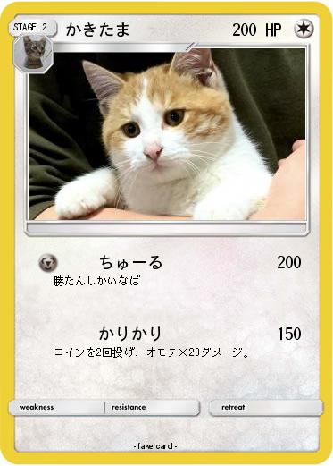 Pokemon かきたま