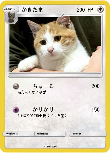 Pokemon かきたま