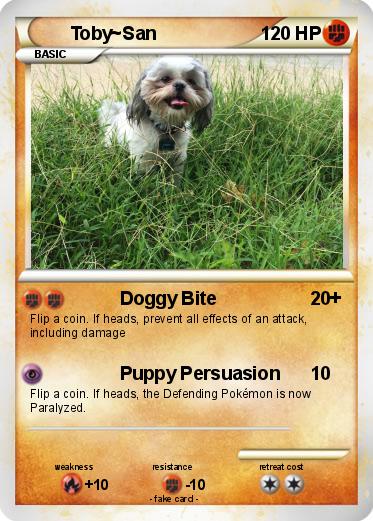 Pokemon Toby~San