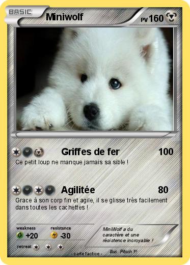 Pokemon Miniwolf